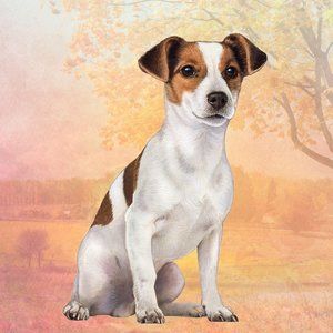 Jack Russell stone coasters